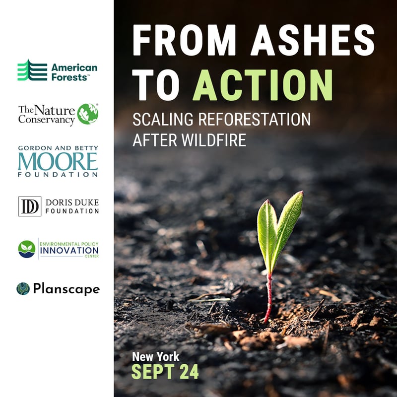 Ashes to Action