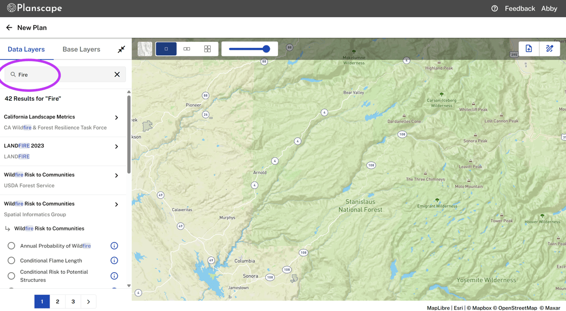 Search Functionality